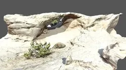 Juniper Arch