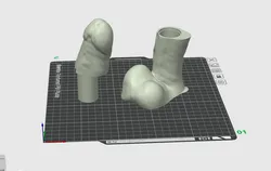 Realistic Penis with Hidden Internal Compartment 88mm x 39mm