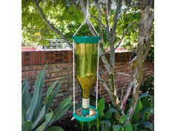 Bird Feeder (Wine Bottle)