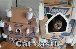 Cat castle
