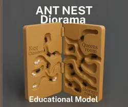 Educational Ant Colony Model – Foldable Ant Nest Diorama