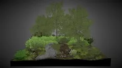 Forest Environment