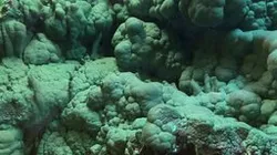 Malachite