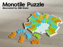 Monotile Puzzle
