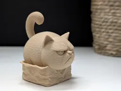 Grumpy Cat "in" a Box