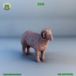 Ram