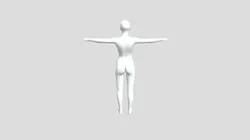 base mesh