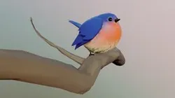 Chonky Birb