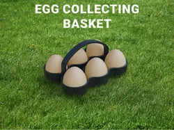 Egg Collecting Basket – Garden Use
