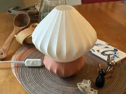 Table lamp and shade