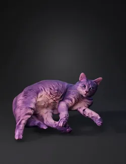 domestic cat lying down with purple lighting furry texture relaxed p