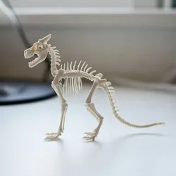 Dracorex Skeleton – High Detail Pachycephalosaur Dinosaur Anatomy 3D Model (3D Print Ready)