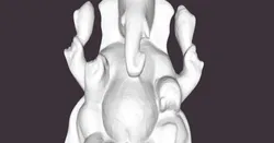 Ganesh sans detail