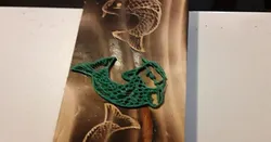 Koi