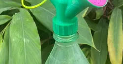 Small Garden Care is really fun
