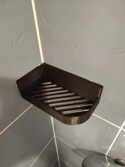 Bathroom shampoo holder