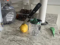 Lemon Squeezer V2