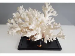 Mineral display stand
