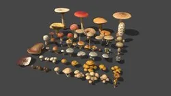 Mushroom Pack
