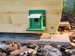 Bumblebee house door