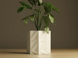 Plant Pot #12