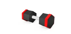 Weight bumper for 20lb Dumbell