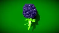 Blackberry