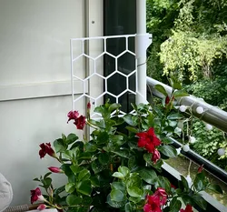 Climbing Plant Trellis | parametric