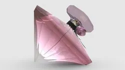 Perfume Bottle