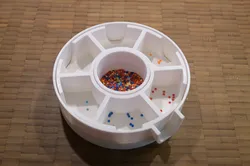 Sorting Carousel / Sorting Bowl