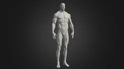 Male Body 3