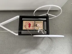 Mousetrap Car