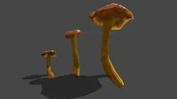 Mushroom_27