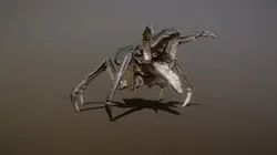 CARCINOPTERA ANIMATIONS