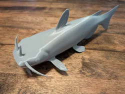 Channel Catfish