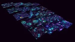 Dark Forest Flowers - 20 TEXTURES (Handpaint) #1