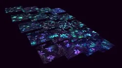 Dark Forest Flowers - 20 TEXTURES (Handpaint) #2