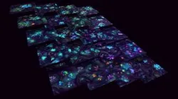Dark Forest Flowers - 20 TEXTURES (Handpaint) #4