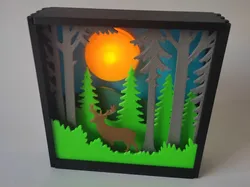 Forest shadow box