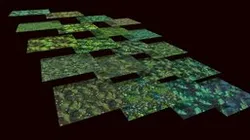 Grass: Pine Forest 20 TEXTURES (Handpainted) #3
