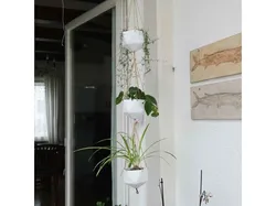 Hanging Planters