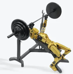 Adjustable Weight Bench for Dummy 13