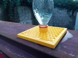 Bees water platform to drink with bottle reservoir