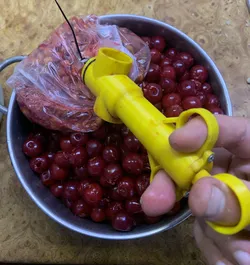 cherry pit stone remover