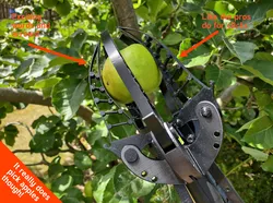 Flexi fruit picker