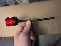 Flower and stem