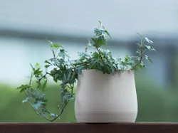 Flowerpot with built-in drainage tray