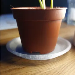 3D printer bestanden | 3MF | a stand for small cactus pots
