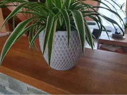 Cache Pot