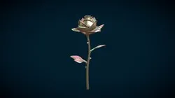 Rose Flower